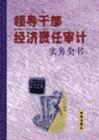 領導干部經(jīng)濟責任審計實務全書